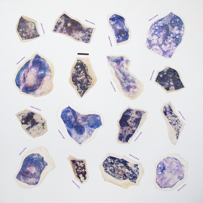 Spécimens [R] — Wang Yanling